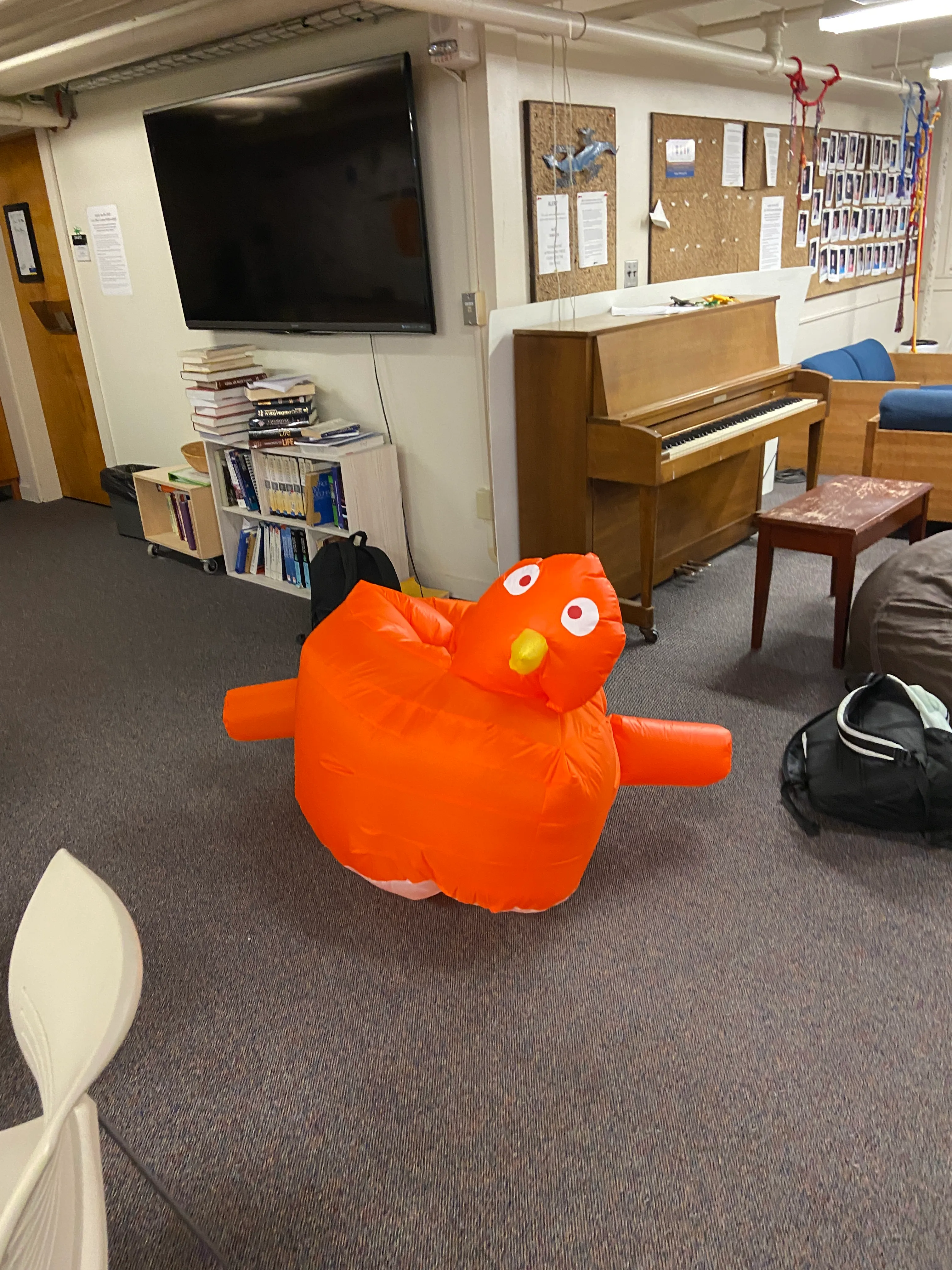 Inflated pigeon from another angle