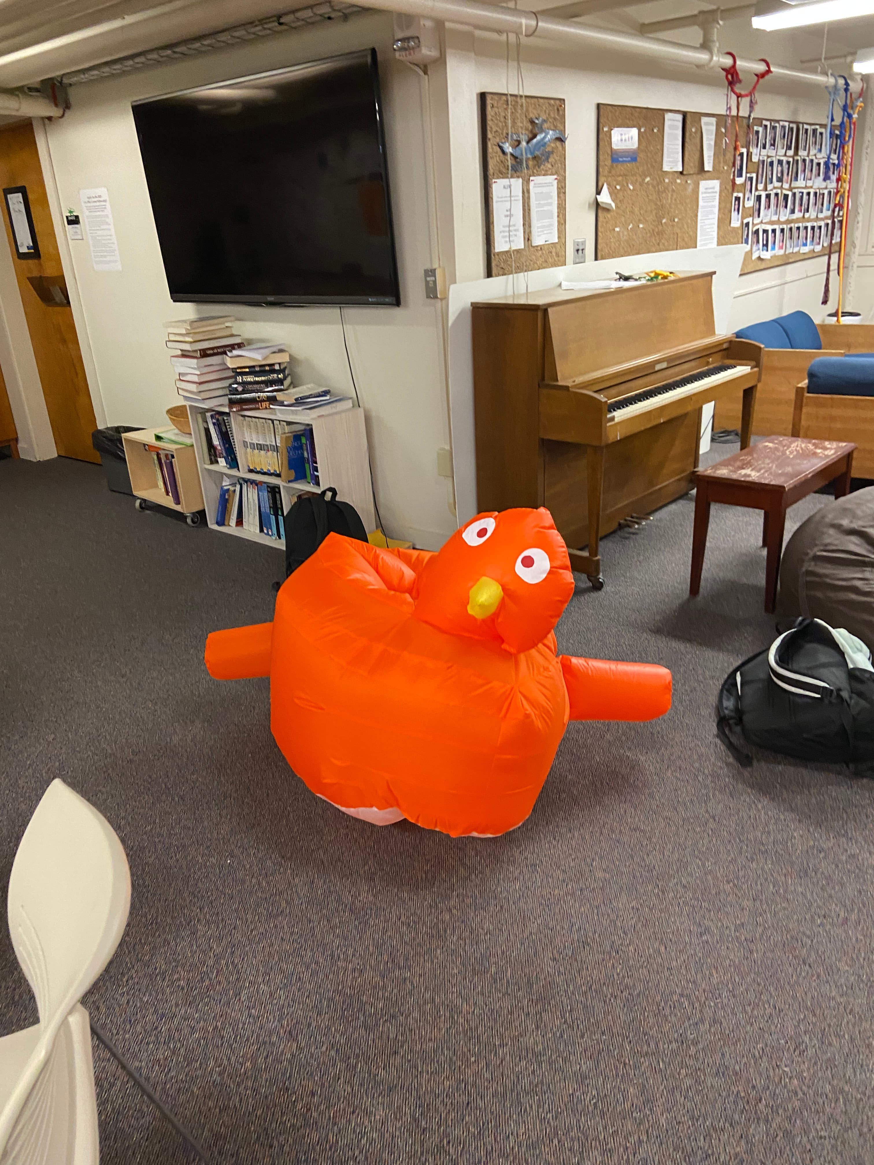 Inflated pigeon 2