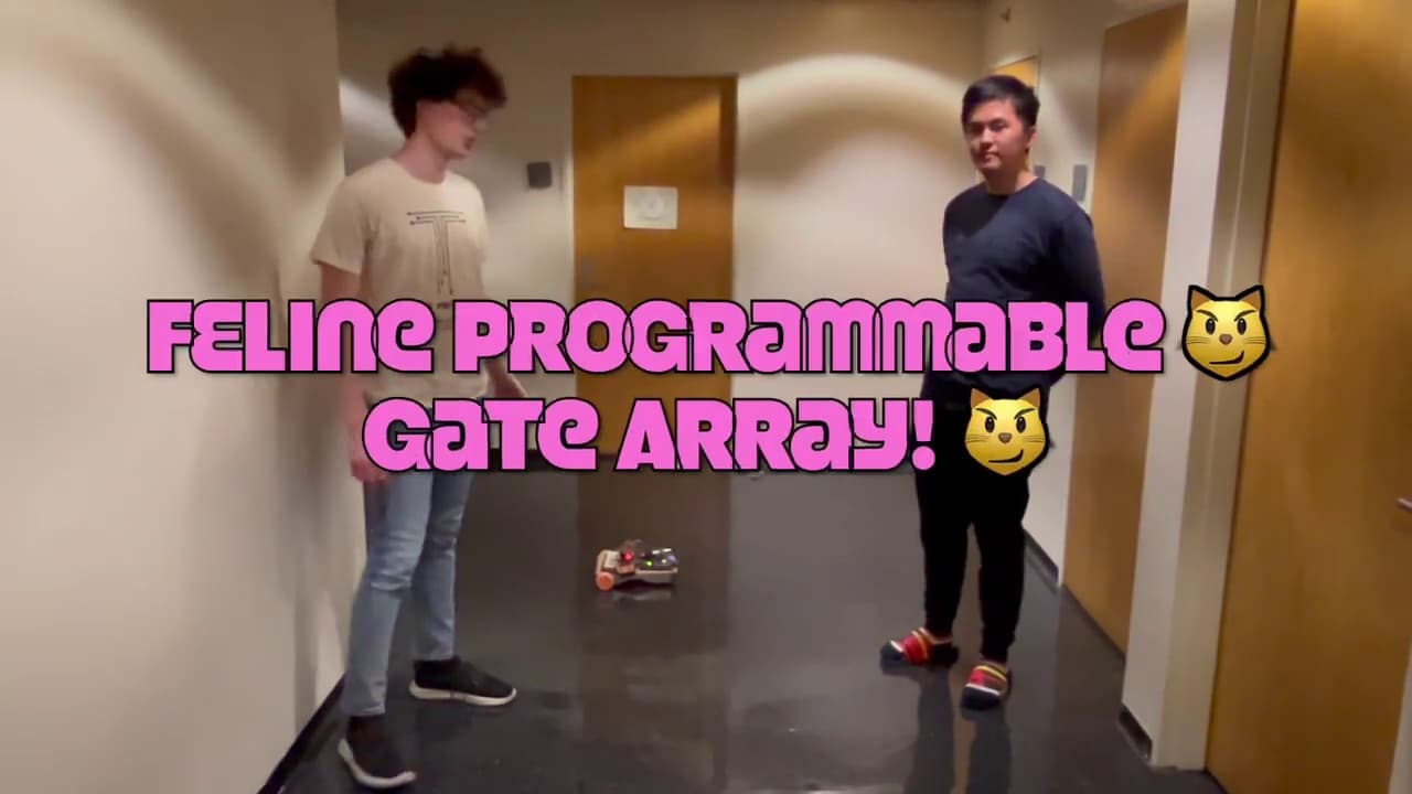 Feline Programmable Gate Array